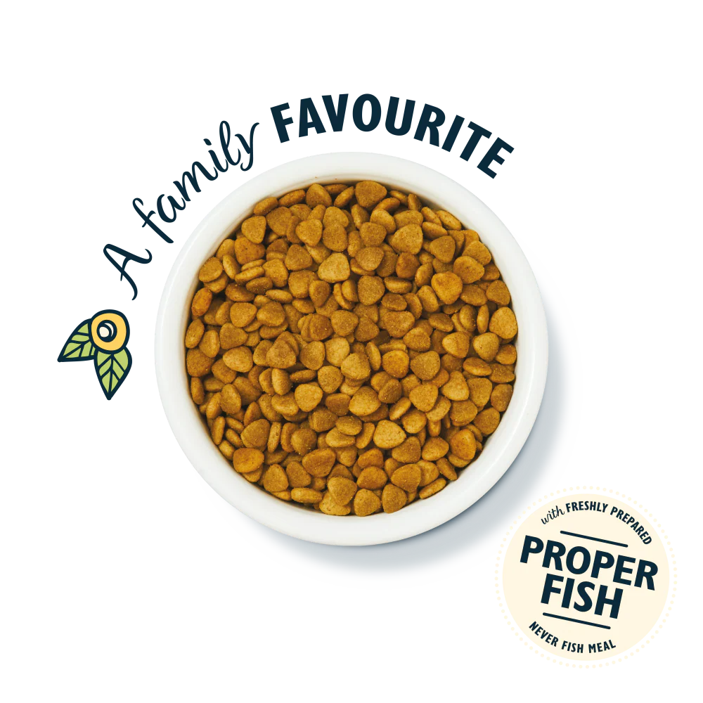 Lily's Kitchen Dry Cat Food Fisherman's Feast