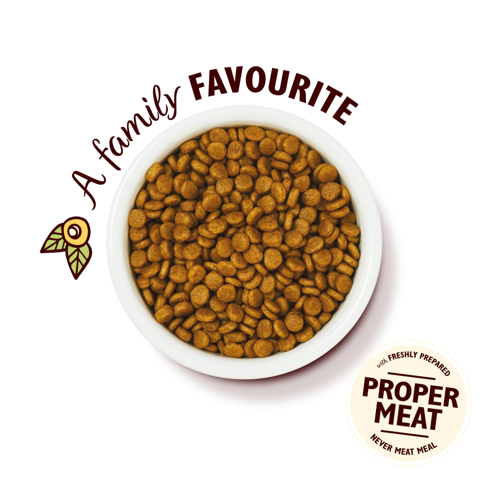 Lily's Kitchen Dry Cat Food Kitten Chicken & White Fish 800g