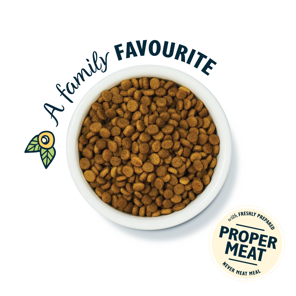 Lily's Kitchen Dry Cat Food Senior White Fish & Turkey 800g