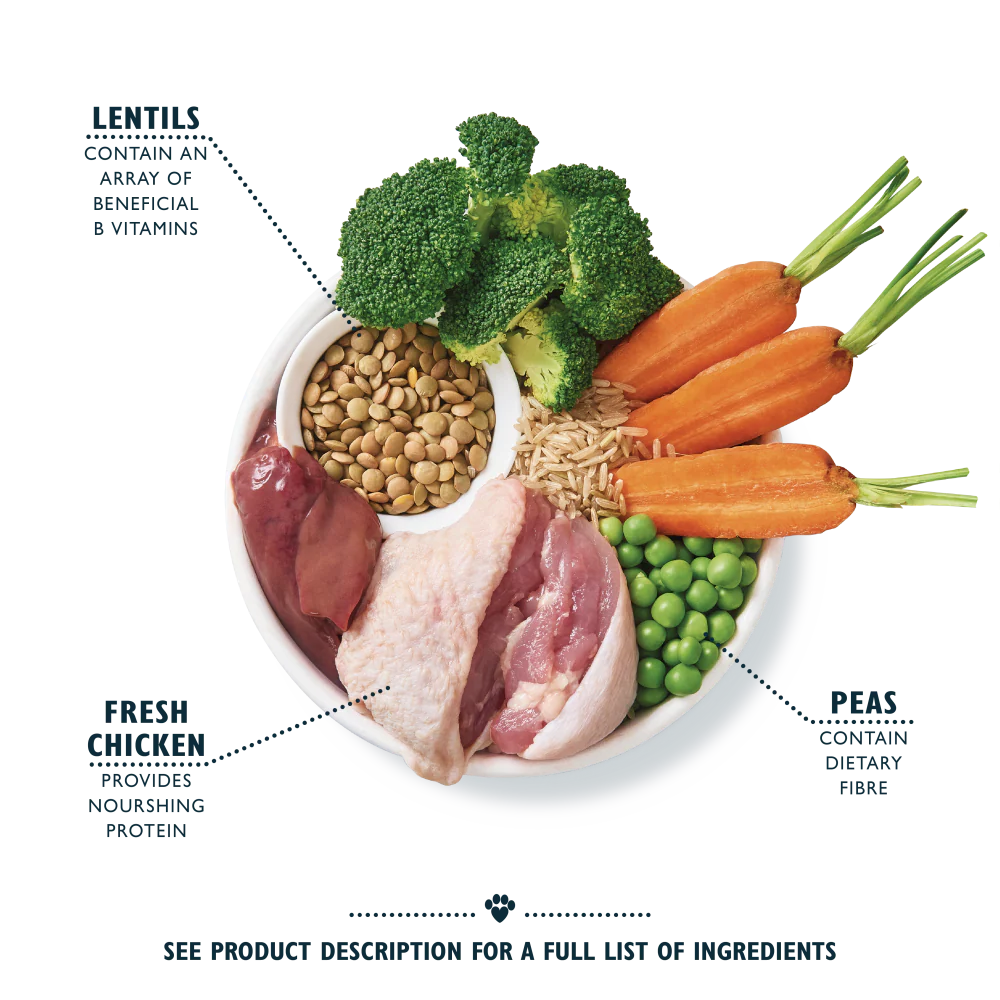 Lily's Kitchen Organic Chicken Bake Dry Dog Food