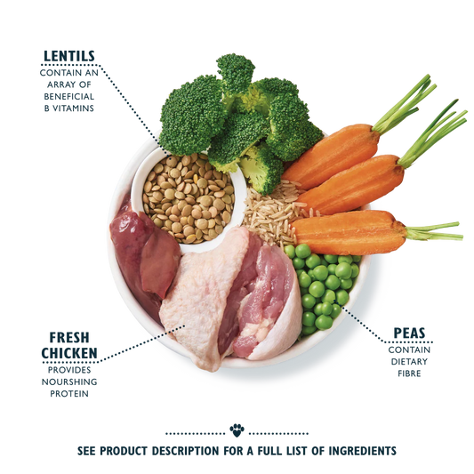 Lily's Kitchen Organic Chicken Bake Dry Dog Food