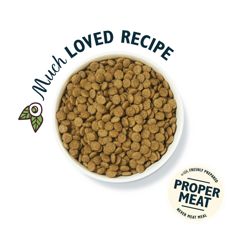 Lily's Kitchen Organic Chicken Bake Dry Dog Food