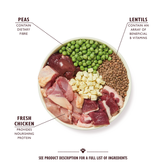 Lily's Kitchen Chicken & Duck Countryside Casserole Dry Dog Food