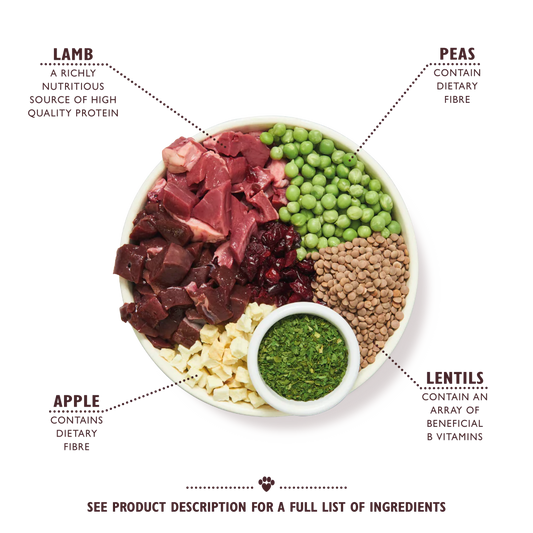 Lily's Kitchen Lamb Shepherd's Pie Dry Dog Food