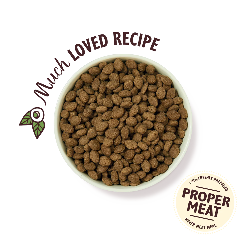 Lily's Kitchen Lamb Shepherd's Pie Dry Dog Food