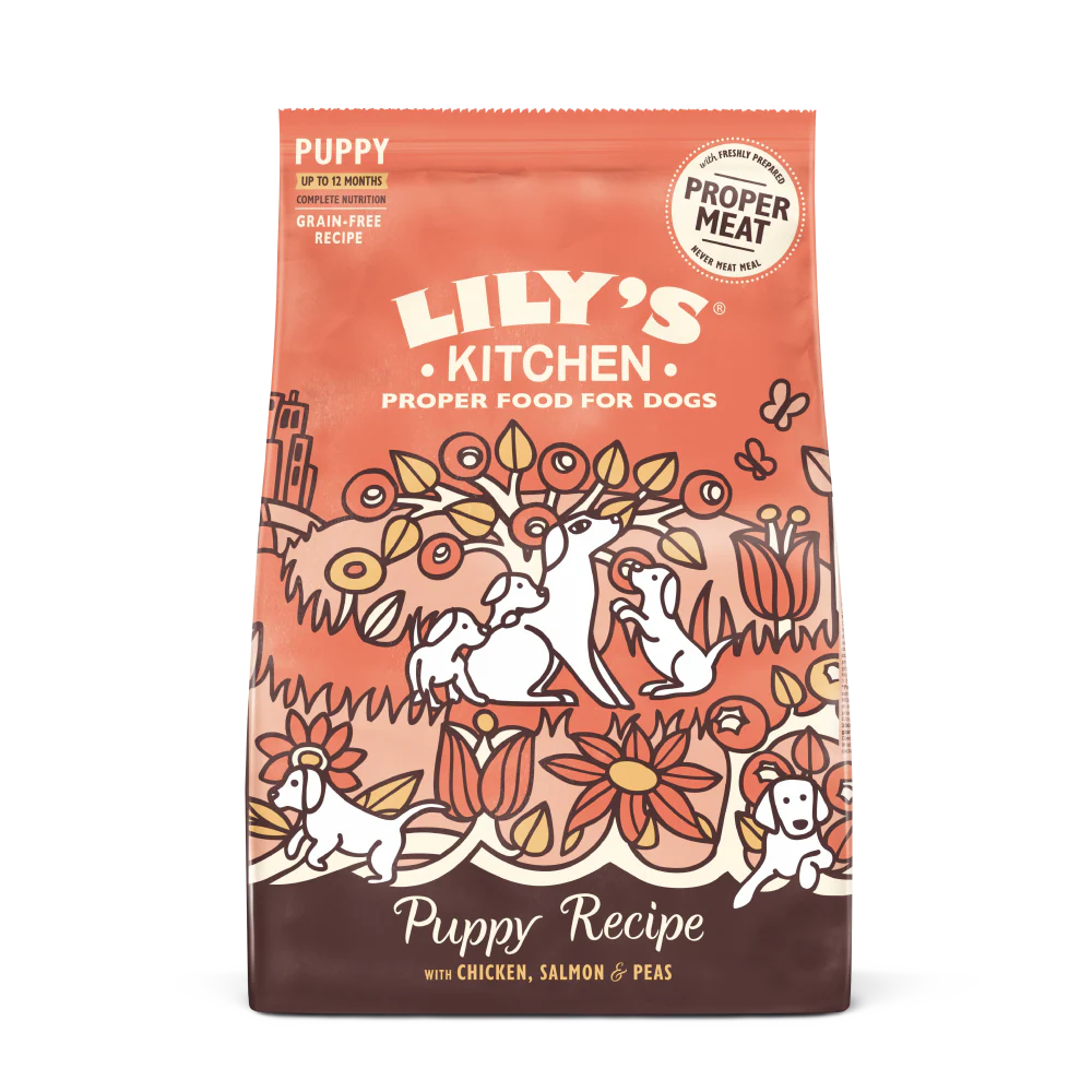 Lily's Kitchen Chicken & Salmon Puppy Dry Dog Food