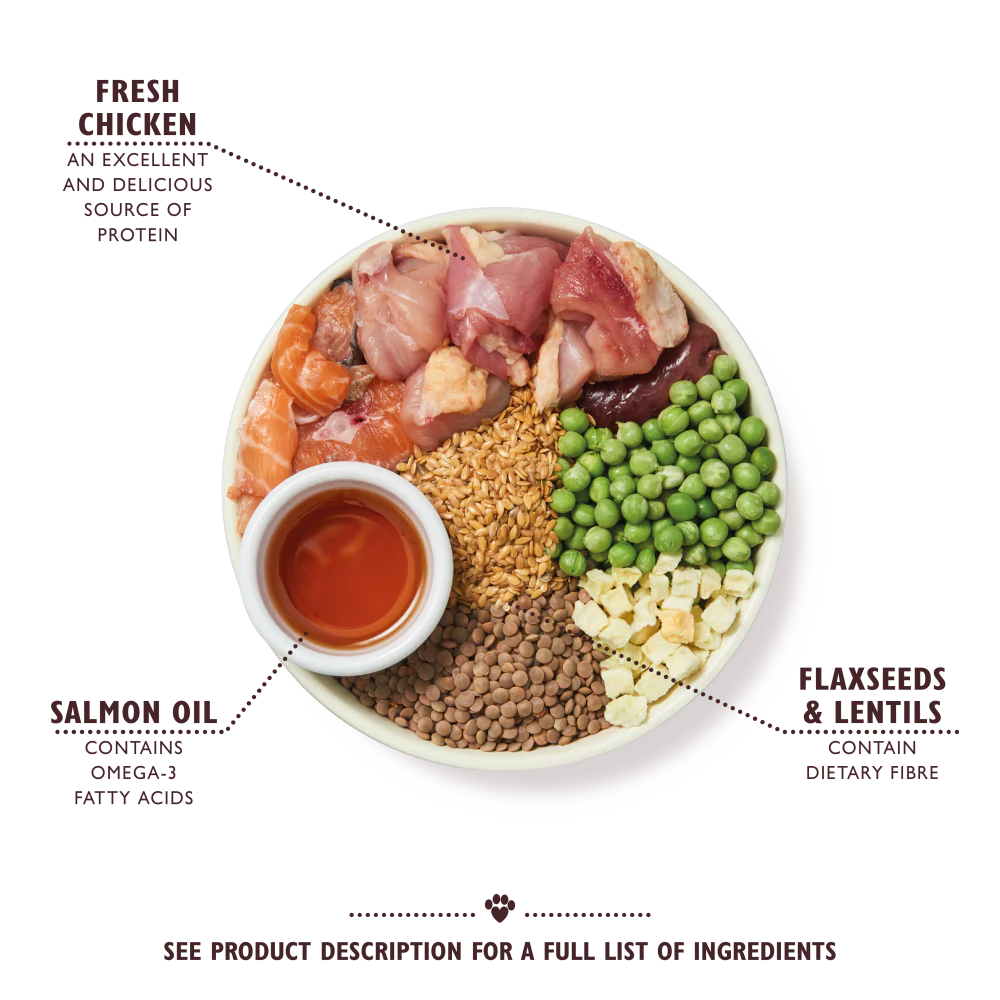 Lily's Kitchen Chicken & Salmon Puppy Dry Dog Food
