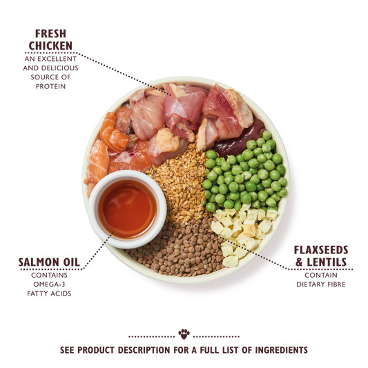 Lily's Kitchen Chicken & Salmon Puppy Dry Dog Food