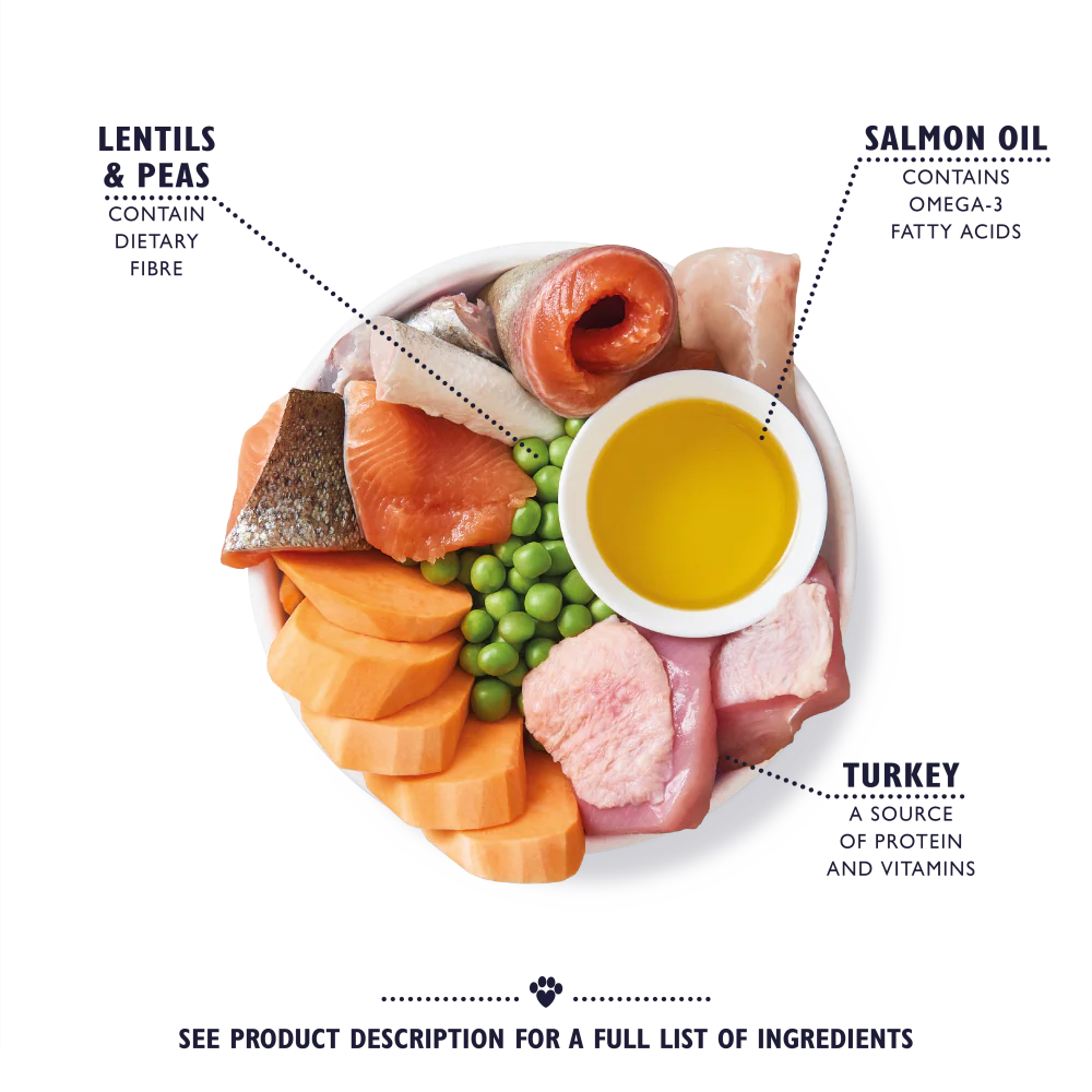 Lily's Kitchen Turkey & Trout Senior Dry Dog Food