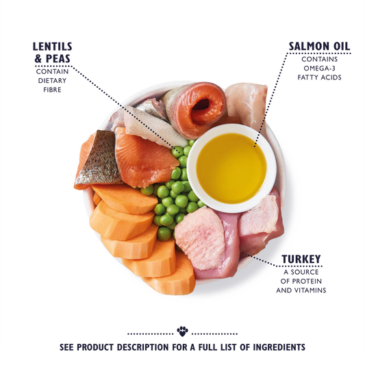 Lily's Kitchen Turkey & Trout Senior Dry Dog Food