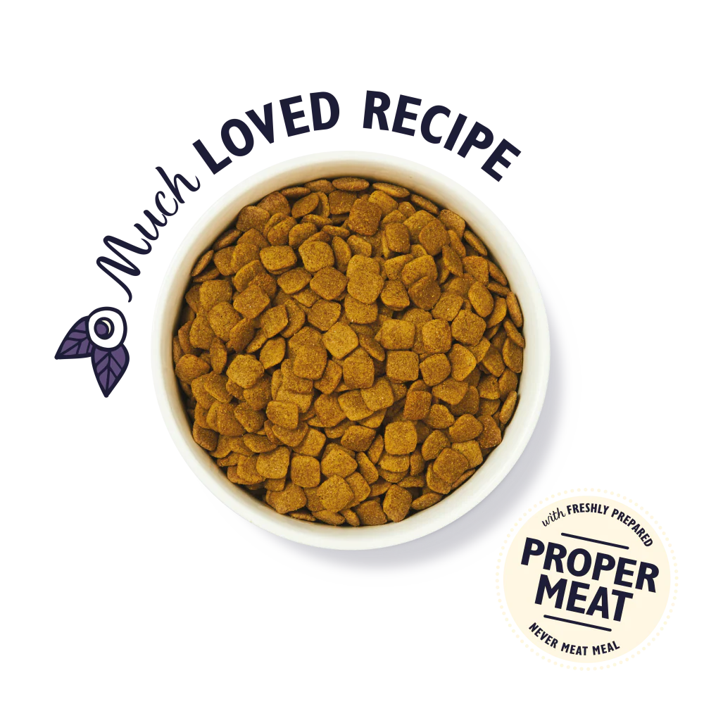 Lily's Kitchen Turkey & Trout Senior Dry Dog Food